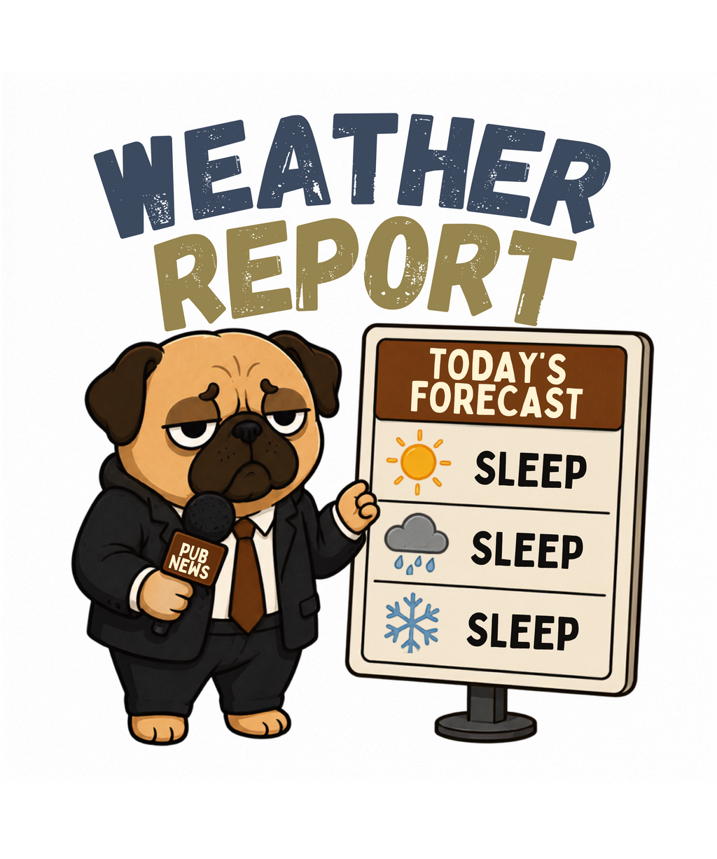 Weather Report Forecast Sleep Lazy Pug Funny Dog Meme Streetwear