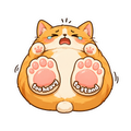 Chonky Cat Heavy