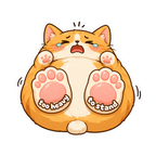 Chonky Cat Heavy