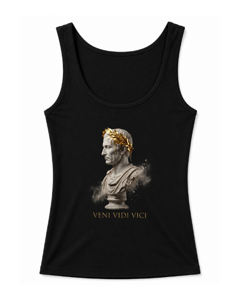Veni Vidi Vici
