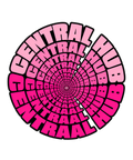 Central Hub Vortex