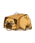 If It Fits I Sits Chubby Pug Dog In Paper Bag Funny Humor