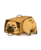If It Fits I Sits Chubby Pug Dog In Paper Bag Funny Humor