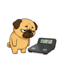Chubby Pug Dog Weight Scale Staring Contest Funny Diet Fitness Humor