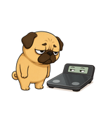 Chubby Pug Dog Weight Scale Staring Contest Funny Diet Fitness Humor