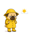 Grumpy Pug In Yellow Raincoat Sunny Day Funny Dog Meme