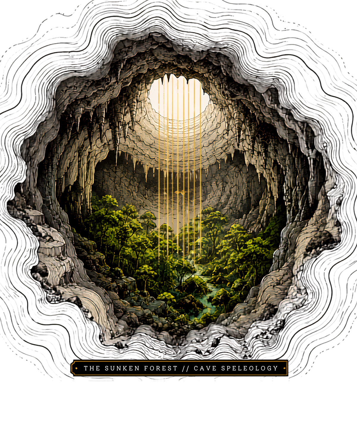 Sunken Forest Cave