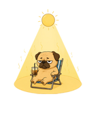 Too Hot Grumpy Pug Heatwave Summer Vacation Dog Humor