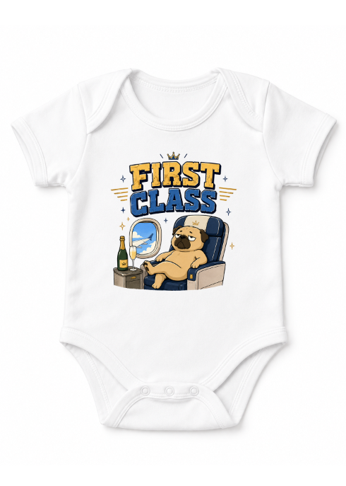 First Class Grumpy Pug Airplane Champagne Luxury Travel Humor