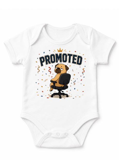 Promoted Grumpy Pug Office Chair Job Promotion Work Humor