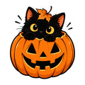 Black Cat Pumpkin