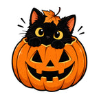 Black Cat Pumpkin
