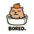 Bored Capybara Bath