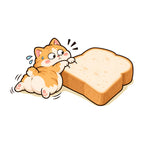 Bread Cat Hug