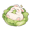 Cabbage Bunny Nap