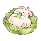 Cabbage Bunny Nap