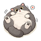Chubby Happy Cat