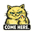 Come Here Cat