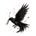Dark Raven Messenger
