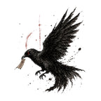 Dark Raven Messenger