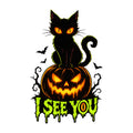 I See You Cat
