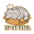 If It Fits Cat