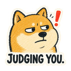Judging You