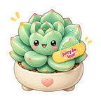 Juicy Leaf Succulent