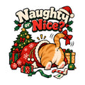 Naughty Or Nice Cat