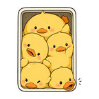 Packed Baby Chicks