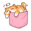 Pocket Cat Nap