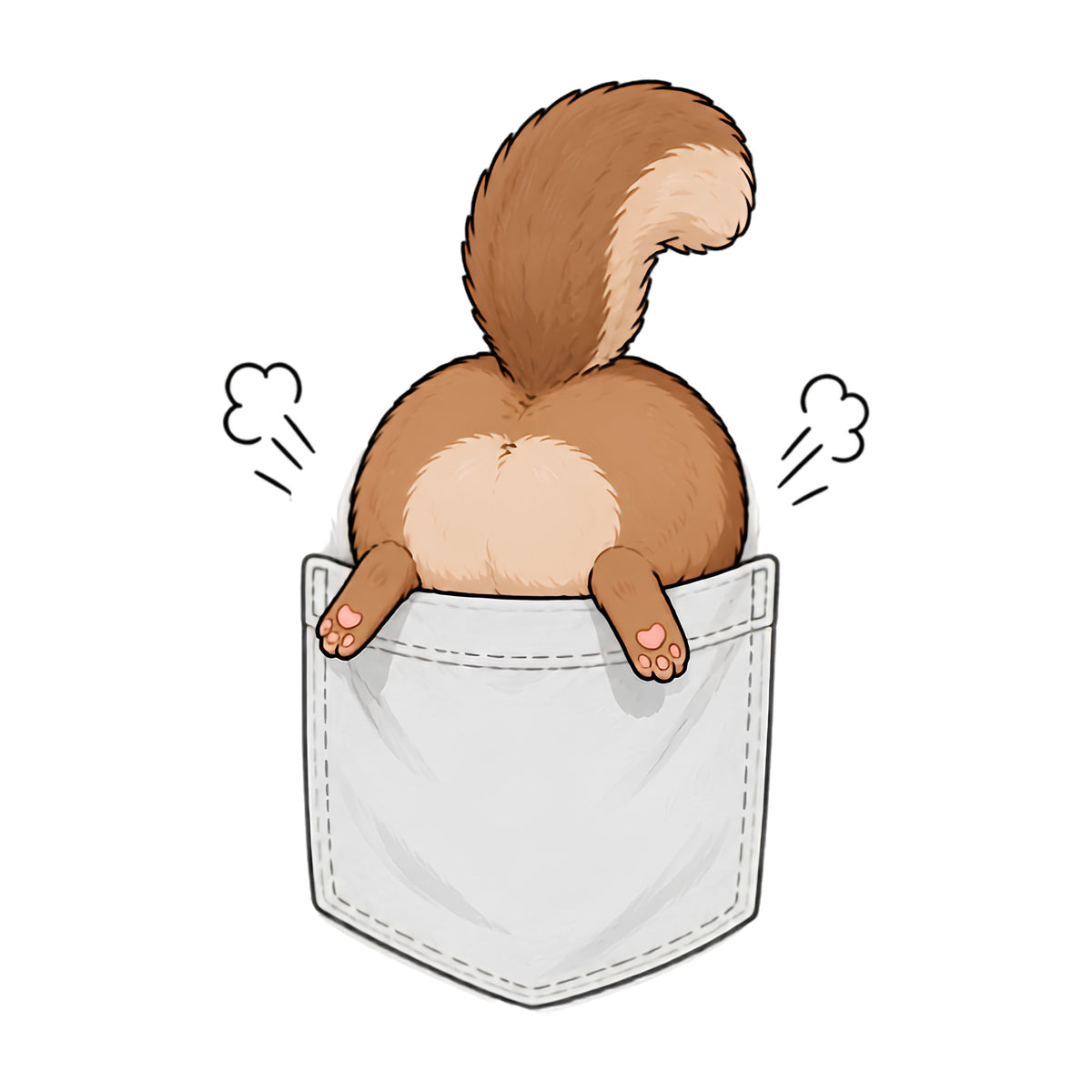 Pocket Squirrel