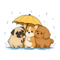 Rainy Day Friends