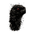 Red Eyed Raven