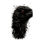 Red Eyed Raven