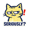 Seriously Grumpy Cat