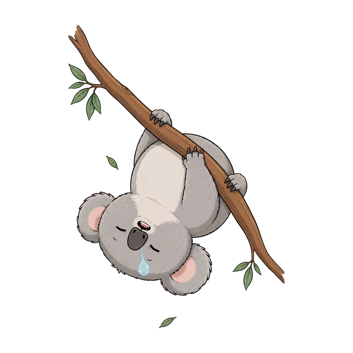 Sleepy Koala