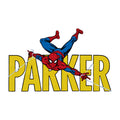 Spider Swing