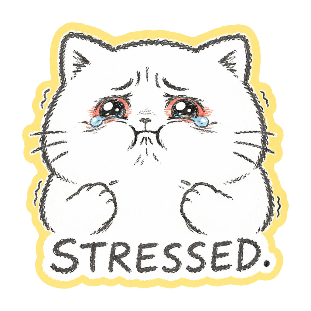 Stressed Cat