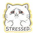 Stressed Cat