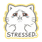Stressed Cat