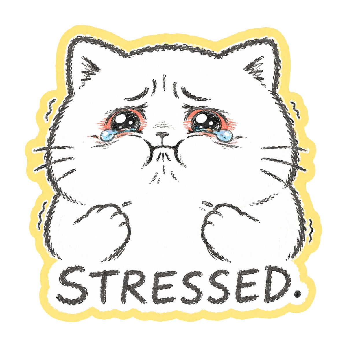 Stressed Cat