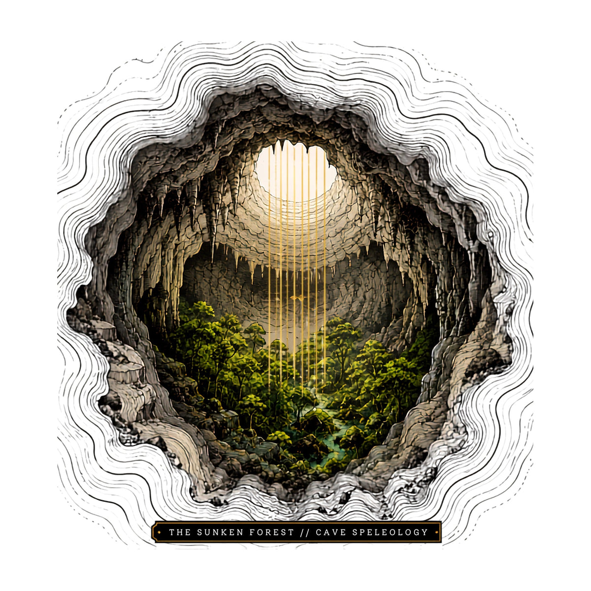 Sunken Forest Cave