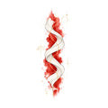 Twisted Ribbon