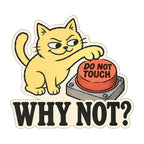 Why Not Cat