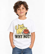 Why Not Cat - White