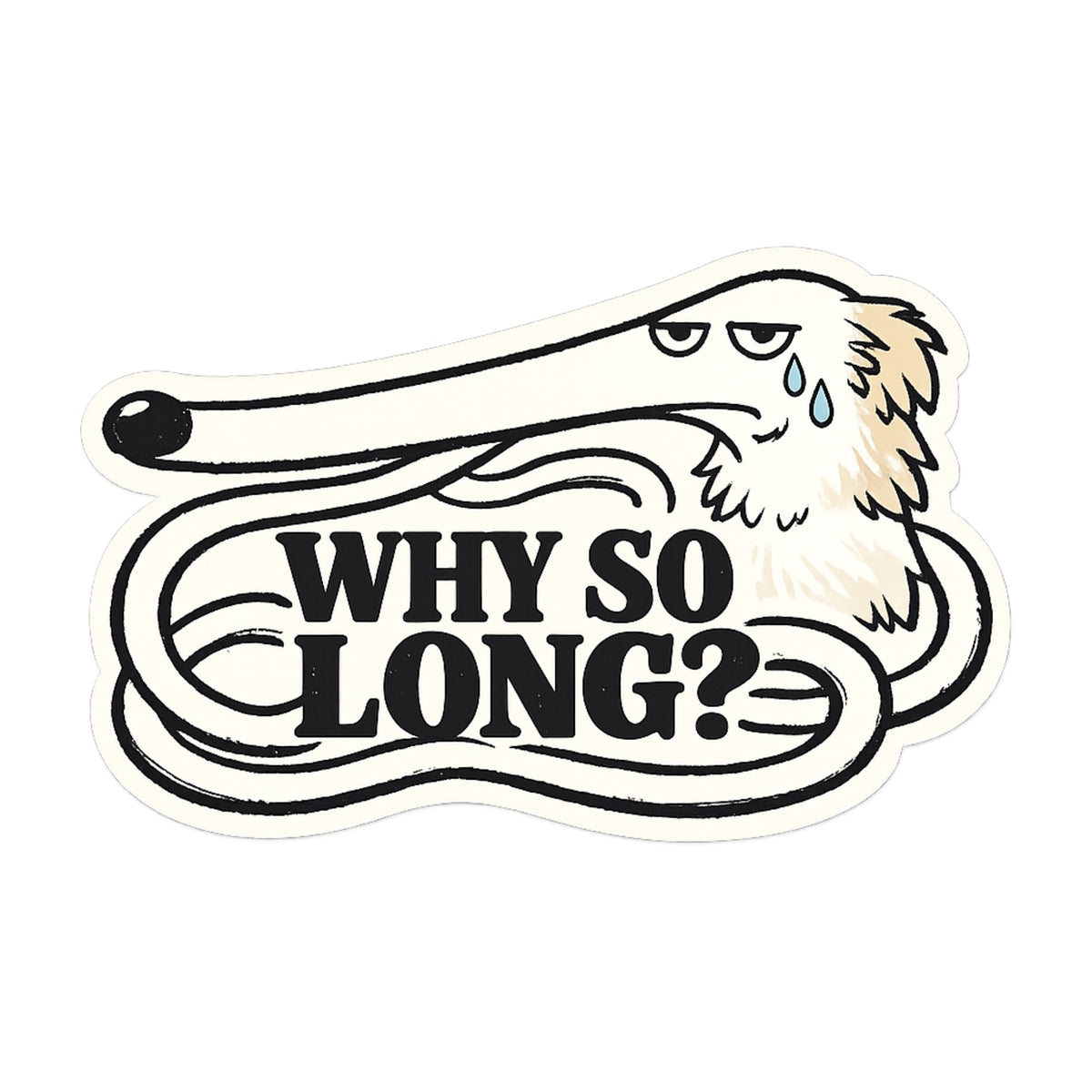 Why So Long