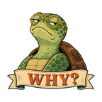 Why Turtle