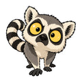 Wide Eyed Lemur